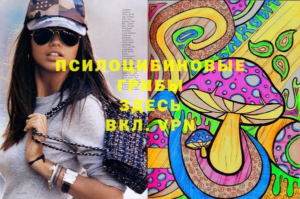 прущие грибы Арсеньев