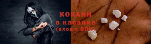 прущие грибы Арсеньев
