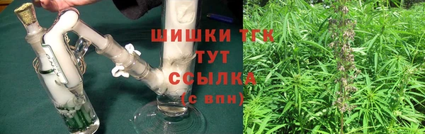 прущие грибы Пестово