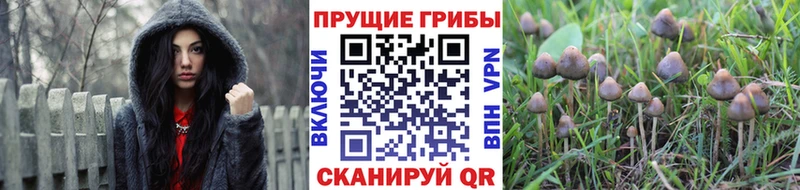 Галлюциногенные грибы ЛСД  Бабаево 